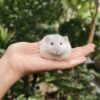 PET 客製｜寵物星球鑰匙圈